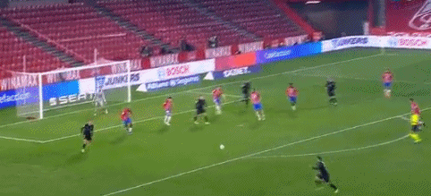 早报：悲欢并不相通