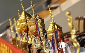 爱尔兰女子斯诺克公开赛：中国选手白雨露夺得冠军